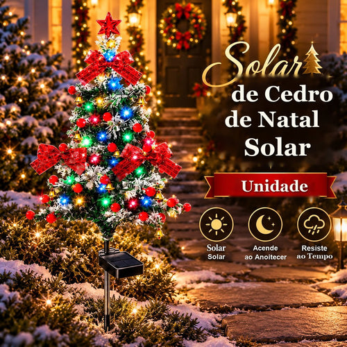 árvore de cedro solar de Natal com luzes coloridas e estaca no jardim